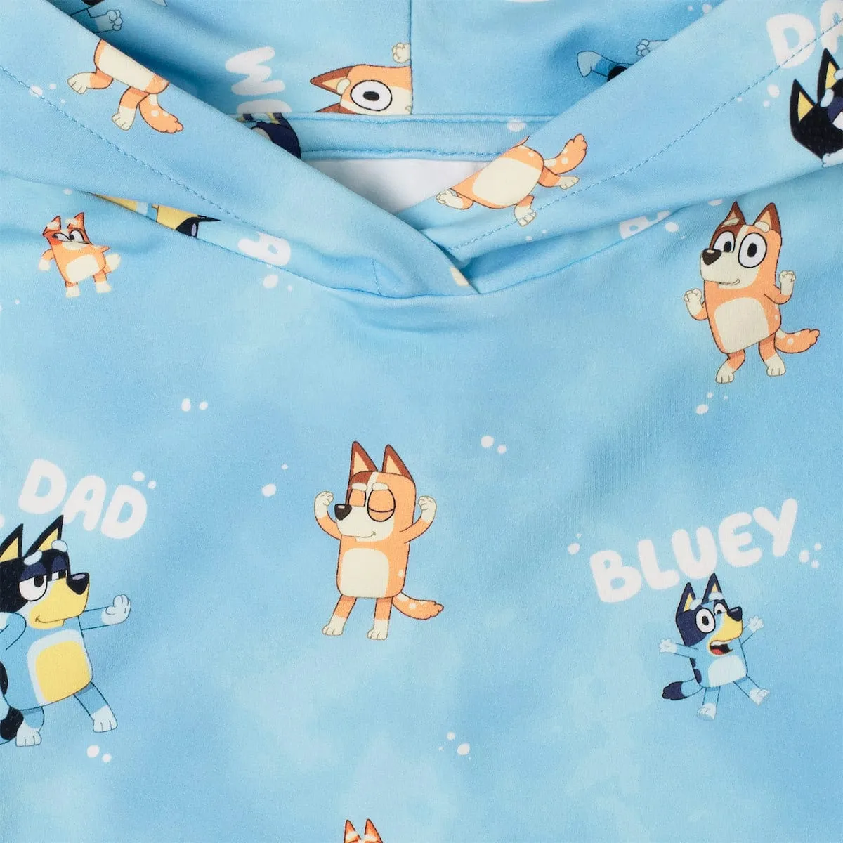Bluey "Meet the Heelers" – Preschooler Performance Hoodie