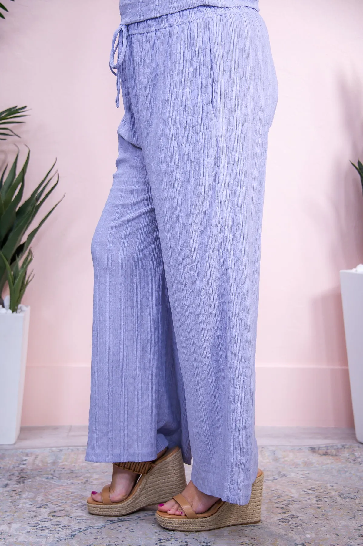 Cool & Collected Lavender Solid Pants - PNT1601LI
