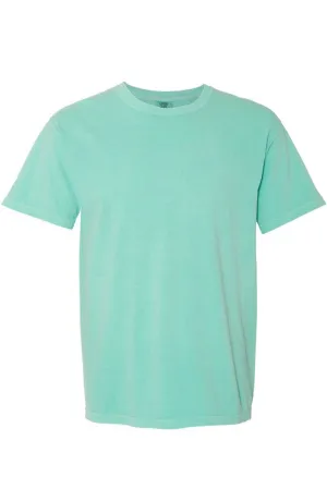 Funky Leopard Snow Rogers Elementary Comfort Colors Adult Ring-Spun Cotton Tee