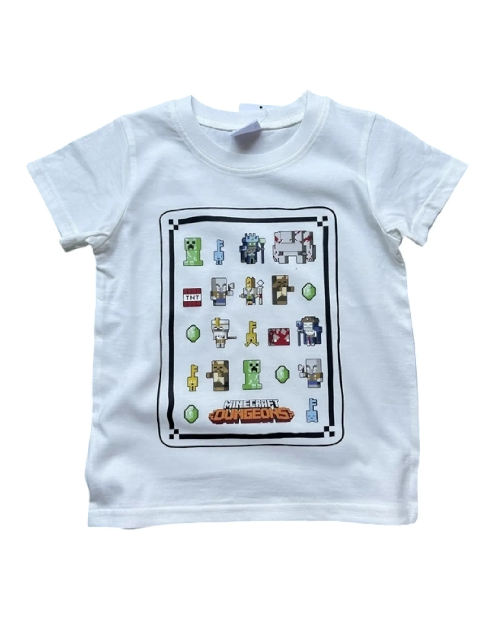 Graphic T-Shirts with Minecraft Designs