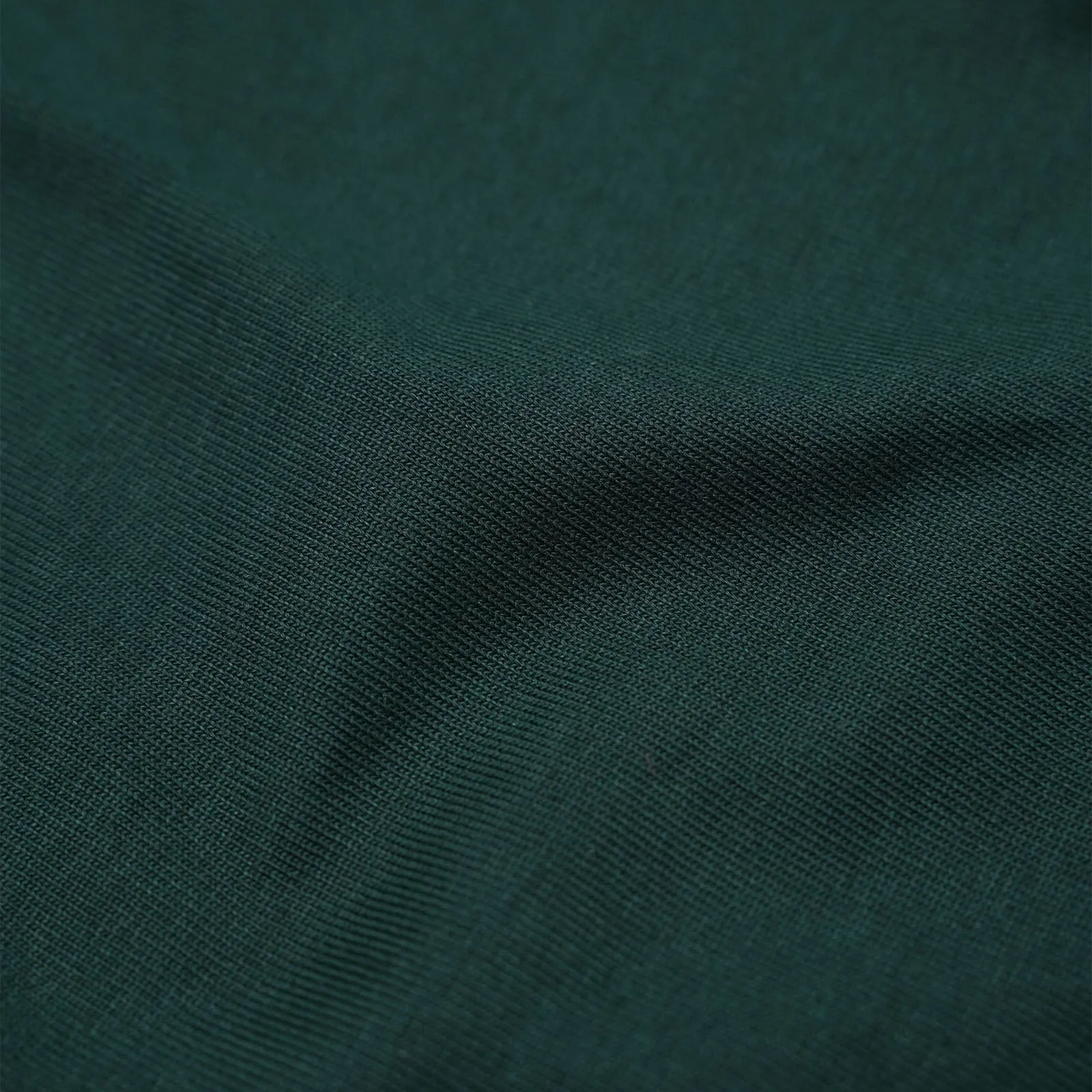 Headline Box Logo Tee - Pine