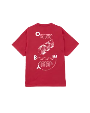 OUTSIDE LOOKING IN PIGMENT BOX T-SHIRT