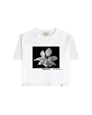 Serpentine Crop Tee