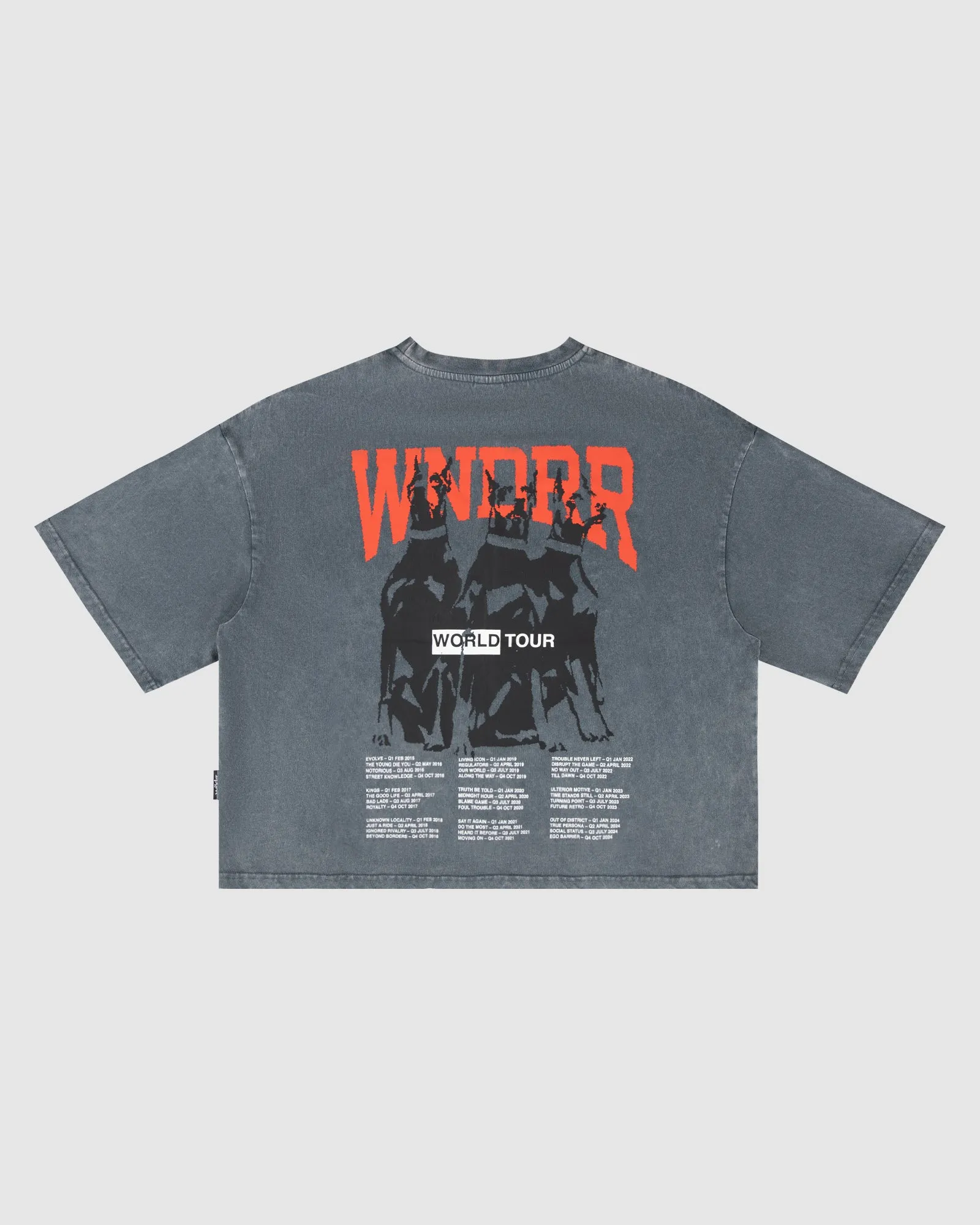 WOMENS WORLD TOUR CROPPED FIT TEE - WASHED GREY